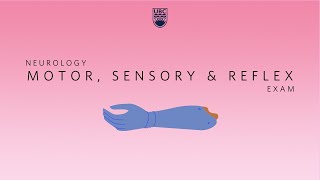 Neurology Clinical Skills  Motor Sensory amp Reflex Neurological Exam neurology ubcmedicine [upl. by Lorelie]