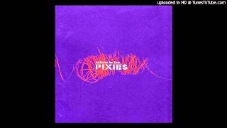 feed  debaser Pixies Cover [upl. by Kcinemod]