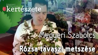 Rózsa tavaszi metszése  Megyeri Szabolcs kertészete [upl. by Eiramalegna]