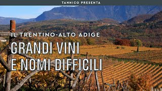 I grandi vini altoatesini dietro a nomi difficili  Tannico Flying School [upl. by Debby]