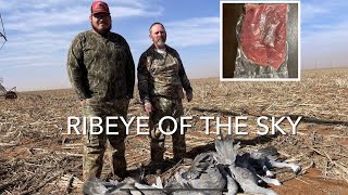 Sandhill crane hunt “Ribeye of the sky” [upl. by Kuehn]