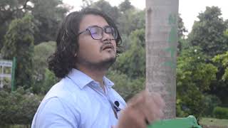 Bawra Man Dekhne Chala Ek Sapna by Ankit Bhandari [upl. by Wetzel]