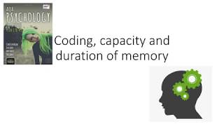 AQA A Level Psychology  Memory  Coding capacity and duration of memory [upl. by Ayrb]