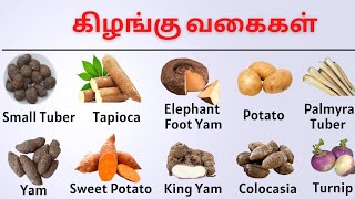 கிழங்கு வகைகள்  Vegetables Names in Tamil amp English  Yam Elephant Foot Yam Colacasia Tuber [upl. by Sandon]