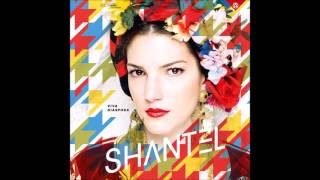 Shantel amp Imam Baildi quotAcid Greeksquot [upl. by Beilul550]