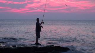 Blue fish Fishing night amp dawn with Bluefish hitting lures off rocks Rockport MA 1215 pound fish [upl. by Behnken]