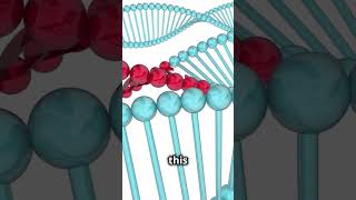 What is Ornithine Transcarbamylase Deficiency [upl. by Aronael]