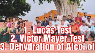 Lucas Test amp Victor Mayer Test of Alcohol Dehydration of Alcohol Cleavage of CarbonOxygen Bond12th [upl. by Derman]