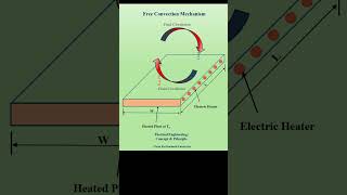 Free Convection Process Mechanismآلية عملية الحمل الحراري الحر energy convectionheattransfer [upl. by Nessim]