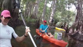 Explore The LOXAHATCHEE River [upl. by Annehsat]