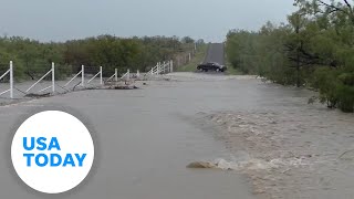 Watch Fish struggle to swim across flooded Texas road  USA TODAY [upl. by Noteloc520]