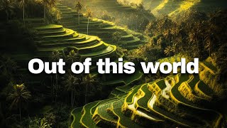 Bali Rice Fields amp Ancient Subak System Explained [upl. by Aiceila]