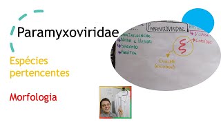 Paramyxoviridae  Curso de virologia  Medicina passo a passo [upl. by Noellyn]