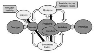 Introduction to Proteomics [upl. by Ettereve]