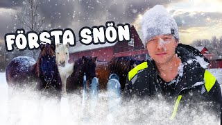 HÄSTARNA ÄR INSNÖADE 🐴 [upl. by Arrahs]