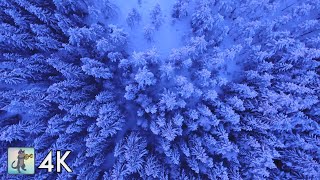 4K Amazing Nature Scenery  Drone Footage【Wonderful Planet Earth amp The Beauty of Nature】 [upl. by Gipson]