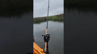 Beautiful Eastern Shore lazy river kayak fishing rockfish rocktober [upl. by Ramsa]