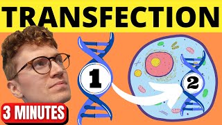 QUICKLY Understand Transfection [upl. by Sugar809]