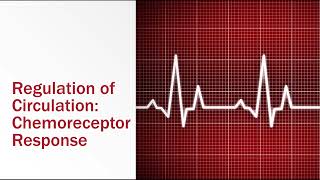 Regulation of Circulation Chemoreceptor Response [upl. by Anaiviv]