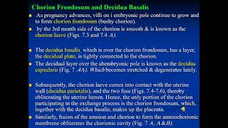 Gen embryology lecture XII fetal membranes amp placenta part I [upl. by Enieledam]