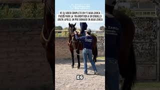 Pasos para la 1ra Montada a un Caballo Joven Apolo un PRE Domado en Agua Zarca  Reel 12 [upl. by Buehler]