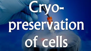 Cell culture techniques 4  Cryopreservation [upl. by Willyt]