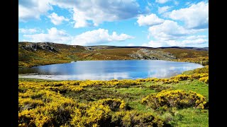 LAGUNA DE LOS PECES [upl. by Anelej]