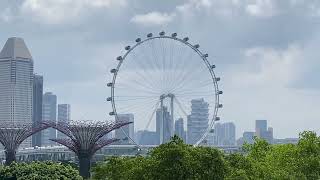 📍Marina Bay Sands OCBC Skyway Gardens by the Bay Singapore [upl. by Tedman627]