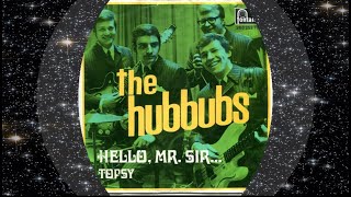 The Hubbubs 1969 Hello Mr Sir [upl. by Glynnis]