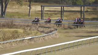 Gayndah 20240608 Race 2 [upl. by Werdma]