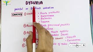 Dysuria  Medical Symptomatology Causes [upl. by Heywood]