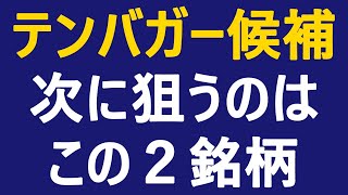 【テンバガー候補銘柄 2024】暴落時に買いたい２銘柄はコレ！ [upl. by Brindell]