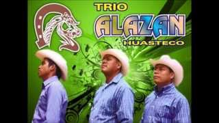 MIX Trio Halcon Huasteco Trio Alazan Huasteco [upl. by Luy]