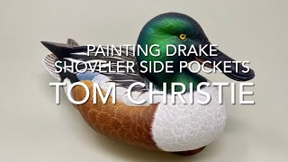 Painting Drake Shoveler Side Pockets [upl. by Marba]