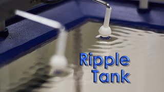 Ripple Tank showing superposition constructive and destructive interference [upl. by Amrak]