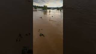 Footage shows flooding after hurricane Helene hits Asheville ￼ [upl. by Enahpets]