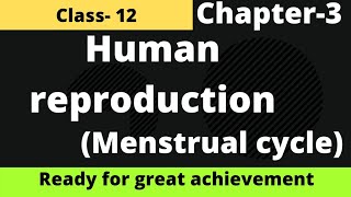 Menstrual Cycle  Human Reproduction  class 12  Chapter 3  Biology neet  TRICK  CONCEPT [upl. by Harman]