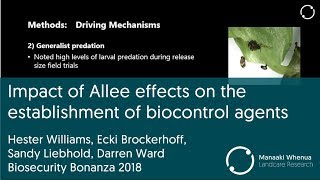 Impact of Allee effects on the establishment of biocontrol agents [upl. by Kezer]