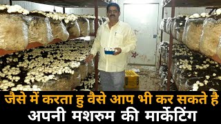 मशरूम की मार्केटिंग कैसे करे  फायदे का सौदा मशरूम की खेती Mushroom Farming In India [upl. by Repsac]