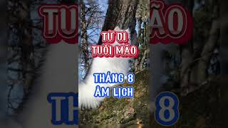 Tử vi tuổi Mão tháng 8 âm lịch [upl. by Efinnej]