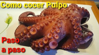 Cómo cocer pulpo congelado y preparar un delicioso Pulpo a la Gallega ✅ Trucos y Consejos [upl. by Enyleuqcaj]