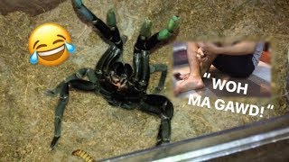 Arachnophobic friend FEEDS my TARANTULAS for the FIRST TIME  “Whoaa my goshhh” [upl. by Olfe]