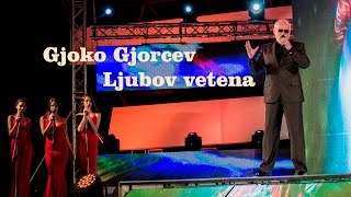 Gjoko Gjorcev  Ljubov vetena  Ohridski trubaduri 2016 [upl. by Halas325]