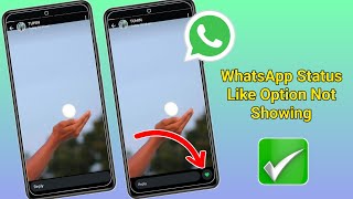 WhatsApp Status Like Option Not Showing  How To Fix WhatsApp Status Like Option Not Showing Problem [upl. by Amahs]