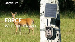 GardePro rechargeable WiFi Bird Camera E8PCF With Close Focus Lens Shorten your distance to nature [upl. by Orton]