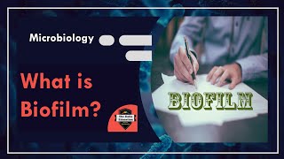 What is Biofilm  Microbiology [upl. by Retxed]