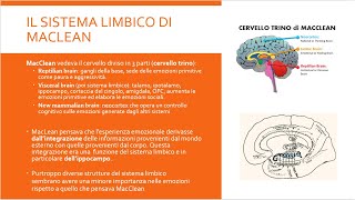 Il Cervello Emotivo  meccanismi cerebrali delle emozioni [upl. by Nilya]