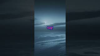 Why Do We Have Tides Discover the Moon’s Pull in 65 Seconds2 [upl. by Sheela]