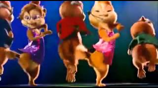 Cute cats dancing on dj vale babu [upl. by Ibbetson]