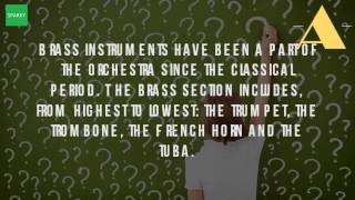 What Is The Largest And Lowest Pitched Brass Instrument [upl. by Christianna]